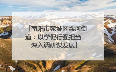南阳市宛城区溧河街道：以学促行强担当 深入调研谋发展