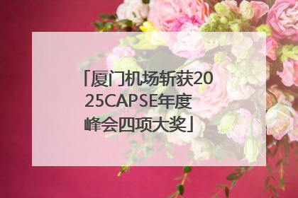 厦门机场斩获2025CAPSE年度峰会四项大奖