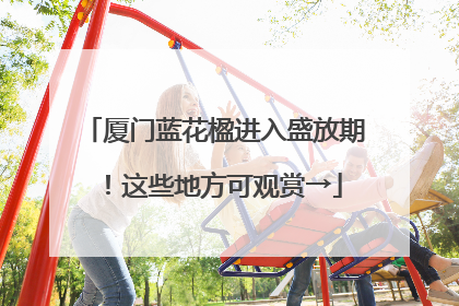 厦门蓝花楹进入盛放期！这些地方可观赏→