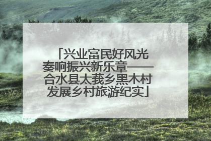 兴业富民好风光 奏响振兴新乐章——合水县太莪乡黑木村发展乡村旅游纪实
