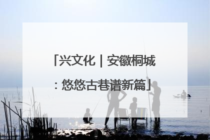 兴文化｜安徽桐城：悠悠古巷谱新篇