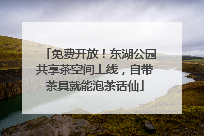 免费开放！东湖公园共享茶空间上线，自带茶具就能泡茶话仙