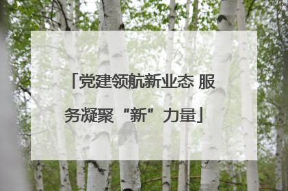 党建领航新业态 服务凝聚“新”力量