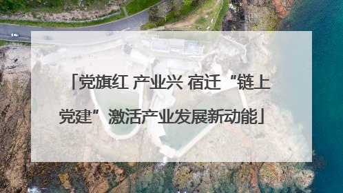 党旗红 产业兴 宿迁“链上党建”激活产业发展新动能