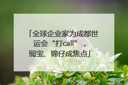 全球企业家为成都世运会“打call”，蜀宝、锦仔成焦点