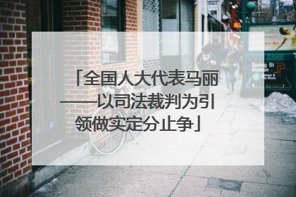 全国人大代表马丽——以司法裁判为引领做实定分止争