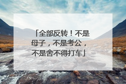 全部反转！不是母子，不是考公，不是舍不得打车