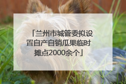 兰州市城管委拟设置自产自销瓜果临时摊点2000余个