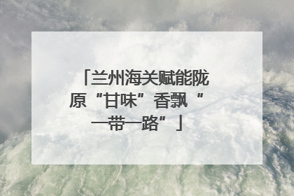 兰州海关赋能陇原“甘味”香飘“一带一路”