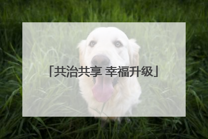 共治共享 幸福升级
