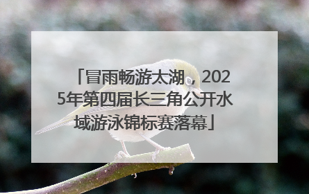 冒雨畅游太湖，2025年第四届长三角公开水域游泳锦标赛落幕