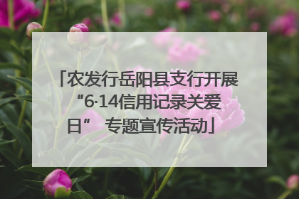 农发行岳阳县支行开展“6·14信用记录关爱日” 专题宣传活动