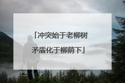 冲突始于老柳树 矛盾化于柳荫下