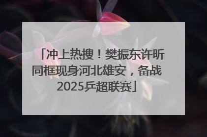 冲上热搜！樊振东许昕同框现身河北雄安，备战2025乒超联赛