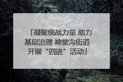 凝聚统战力量 助力基层治理 神堂沟街道开展“四进”活动