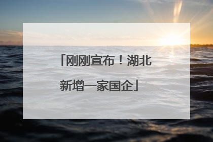 刚刚宣布！湖北新增一家国企
