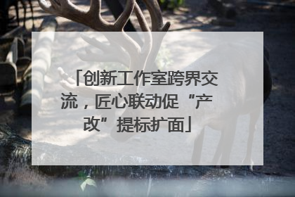创新工作室跨界交流，匠心联动促“产改”提标扩面