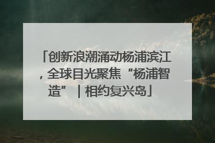 创新浪潮涌动杨浦滨江，全球目光聚焦“杨浦智造”｜相约复兴岛