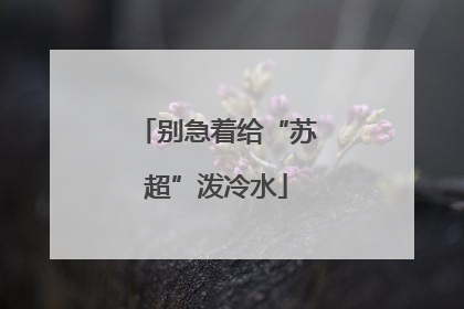 别急着给“苏超”泼冷水
