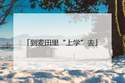 到麦田里“上学”去