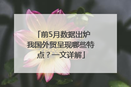 前5月数据出炉 我国外贸呈现哪些特点？一文详解