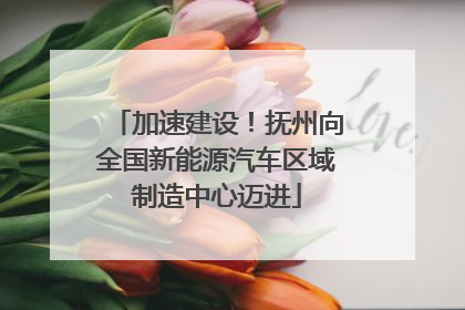 加速建设！抚州向全国新能源汽车区域制造中心迈进