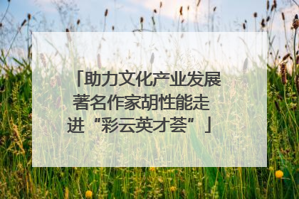 助力文化产业发展 著名作家胡性能走进“彩云英才荟”