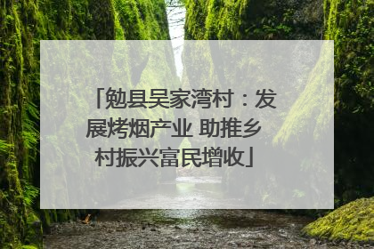 勉县吴家湾村：发展烤烟产业 助推乡村振兴富民增收