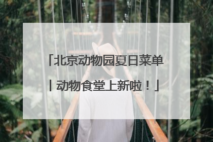 北京动物园夏日菜单丨动物食堂上新啦！