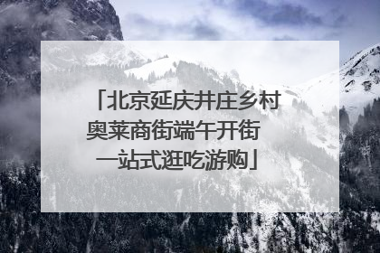 北京延庆井庄乡村奥莱商街端午开街 一站式逛吃游购