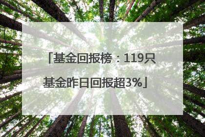 基金回报榜：119只基金昨日回报超3%