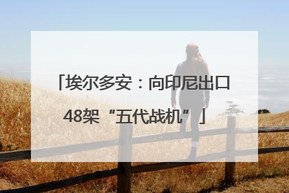 埃尔多安：向印尼出口48架“五代战机”