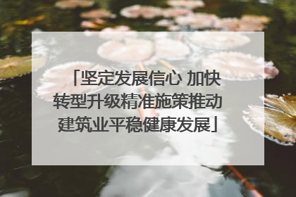 坚定发展信心 加快转型升级精准施策推动建筑业平稳健康发展
