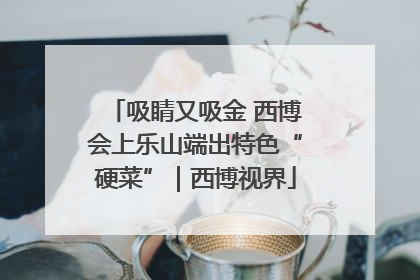 吸睛又吸金 西博会上乐山端出特色“硬菜”｜西博视界