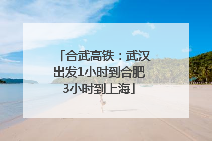 合武高铁：武汉出发1小时到合肥3小时到上海