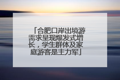 合肥口岸出境游需求呈现爆发式增长，学生群体及家庭游客是主力军