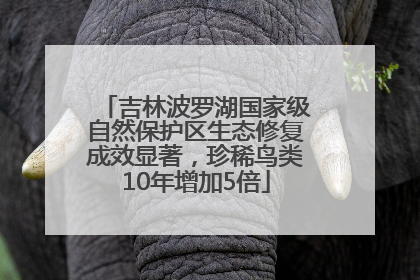 吉林波罗湖国家级自然保护区生态修复成效显著，珍稀鸟类10年增加5倍