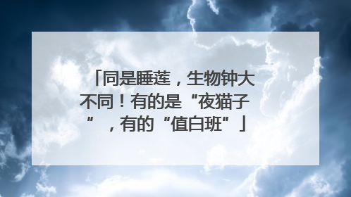 同是睡莲，生物钟大不同！有的是“夜猫子”，有的“值白班”