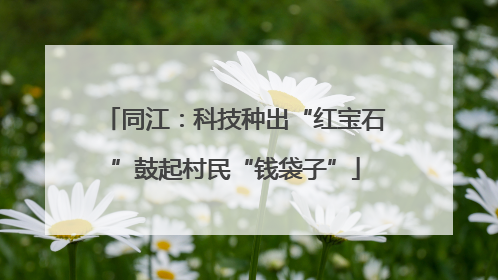 同江：科技种出“红宝石”鼓起村民“钱袋子”