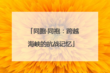 同胞·同袍：跨越海峡的抗战记忆