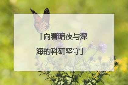 向着暗夜与深海的科研坚守
