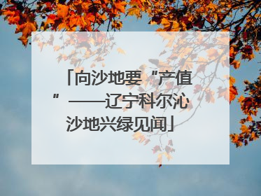 向沙地要“产值”——辽宁科尔沁沙地兴绿见闻
