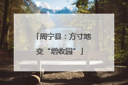 周宁县：方寸地变“增收园”