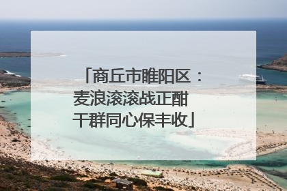 商丘市睢阳区：麦浪滚滚战正酣 干群同心保丰收