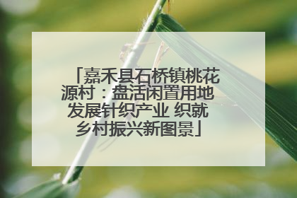 嘉禾县石桥镇桃花源村：盘活闲置用地发展针织产业 织就乡村振兴新图景