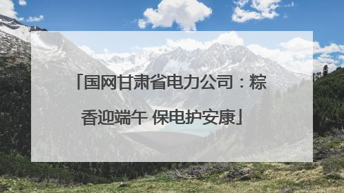 国网甘肃省电力公司：粽香迎端午 保电护安康