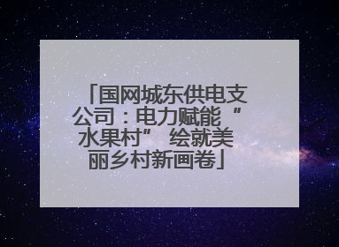 国网城东供电支公司：电力赋能“水果村” 绘就美丽乡村新画卷