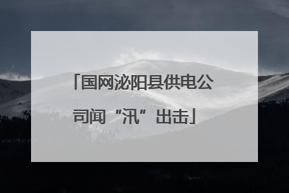 国网泌阳县供电公司闻“汛”出击