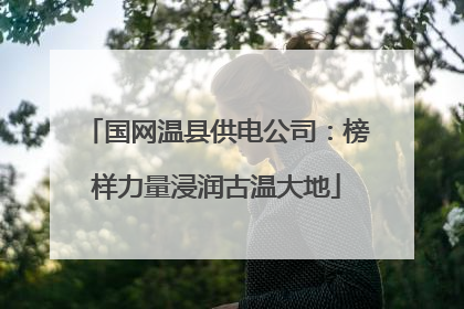 国网温县供电公司：榜样力量浸润古温大地