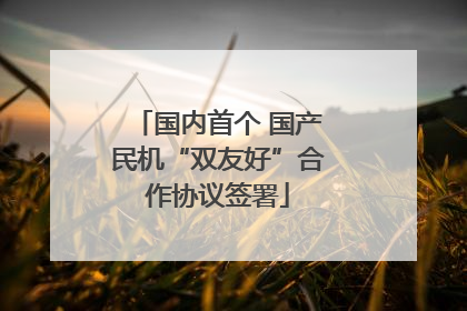 国内首个 国产民机“双友好”合作协议签署